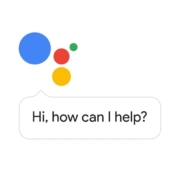 google assistant translation